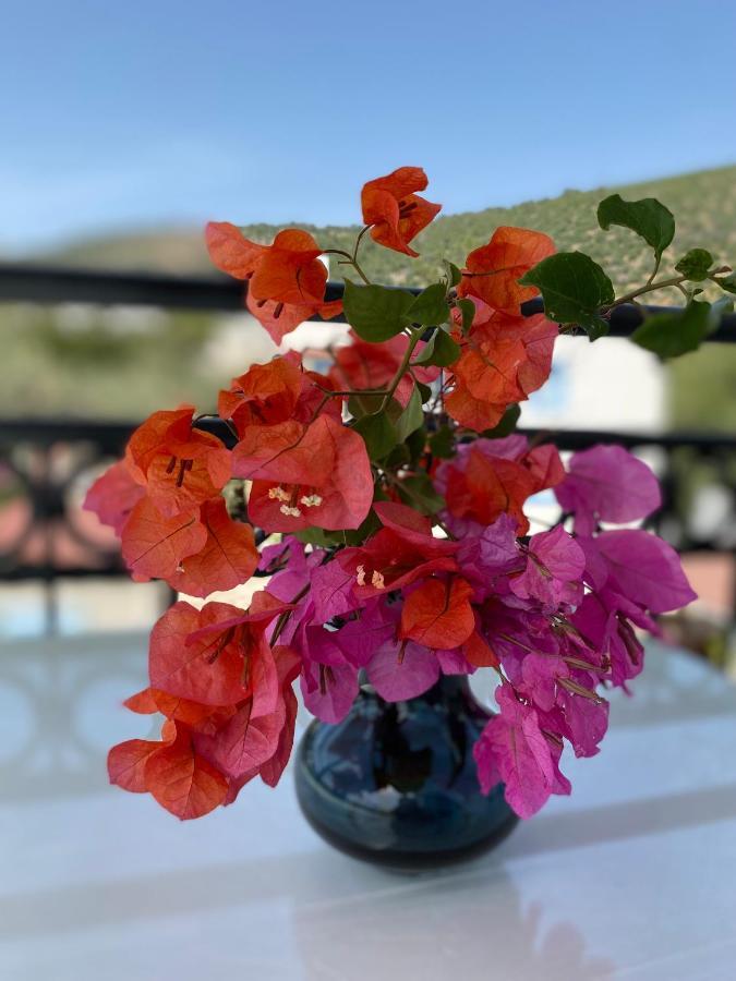 Merve Apartments, Your Home From Home In Central Bodrum, Street Cats Frequent The Property, Not All Apartments Have Balconies , Ground Floor Have Terrace With Table And Chairs Buitenkant foto